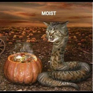 Meet your Posher, Nick